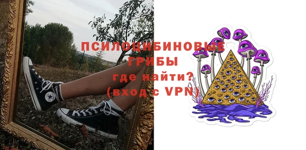 эйфоретик Аркадак