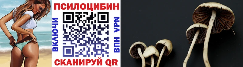 даркнет сайт  omg вход  Псилоцибиновые грибы MAGIC MUSHROOMS  Сольцы 
